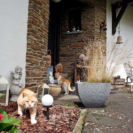 B&B Au Coq En Pate Jalhay Dış mekan fotoğraf