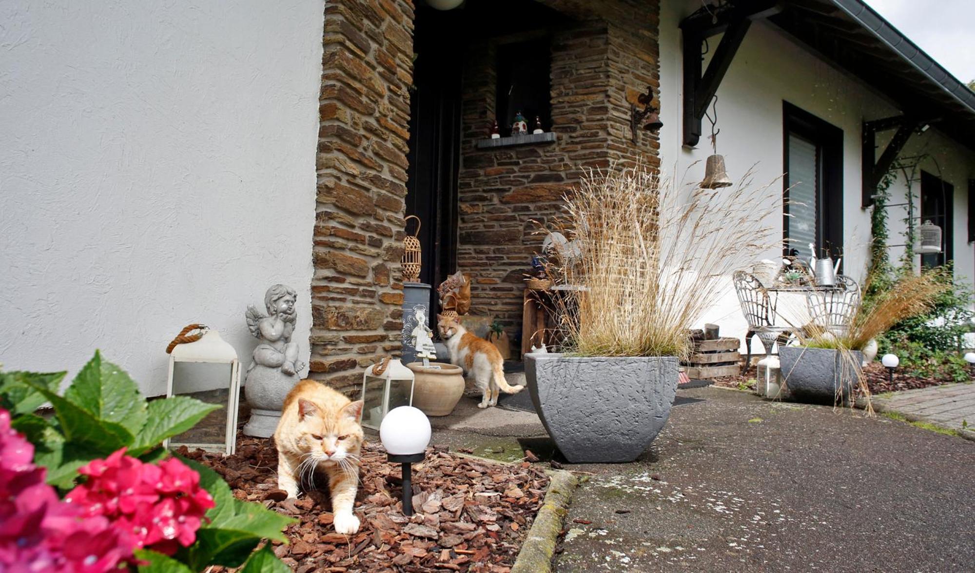 B&B Au Coq En Pate Jalhay Dış mekan fotoğraf